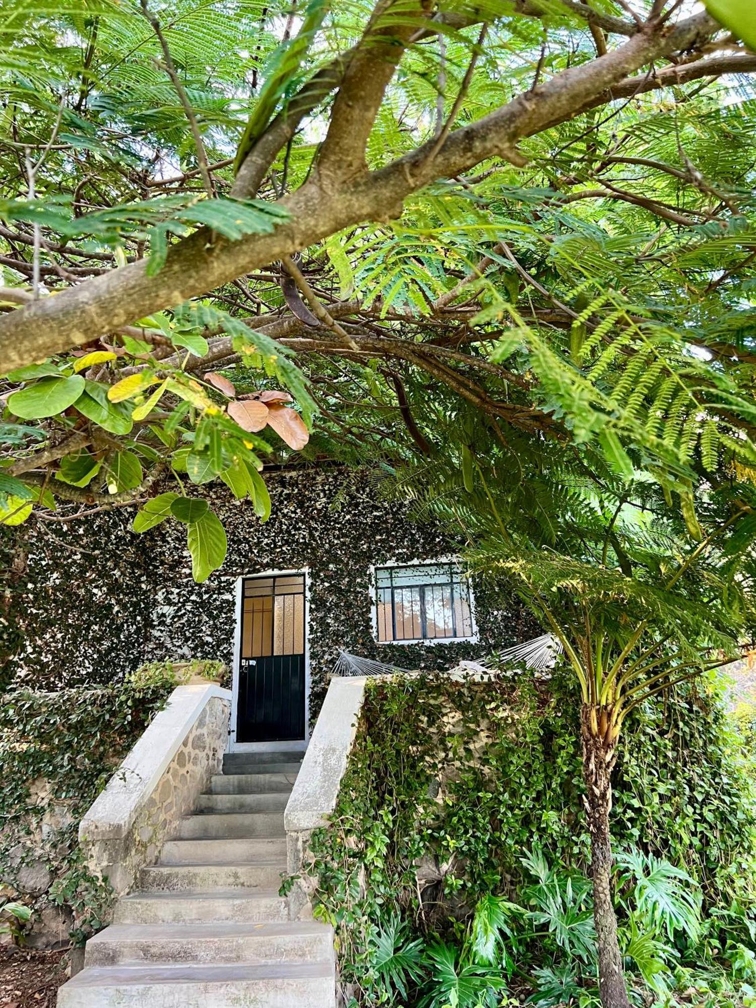 Mama Chuy Hotel & Villas San Juan Cosalá Eksteriør bilde